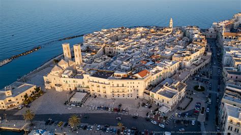 molfetta ysl
